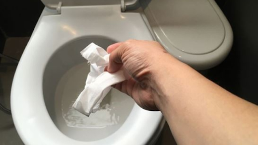 Có nên bỏ giấy vệ sinh vào bồn cầu hay không? 