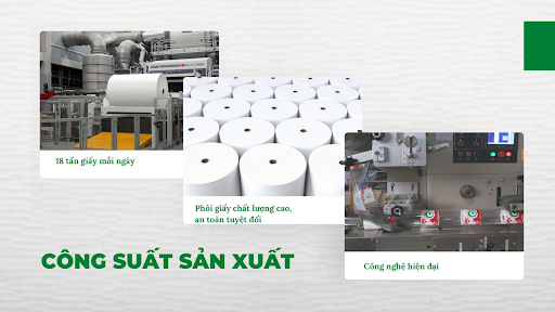 Thiên An Nam chuyên sản xuất và cung cấp giấy vệ sinh chất lượng giá tốt