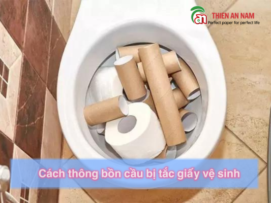 Cách thông bồn cầu bị tắc giấy vệ sinh