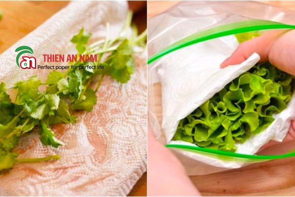 Những Tác Dụng Của Khăn Giấy Bạn Chưa Biết