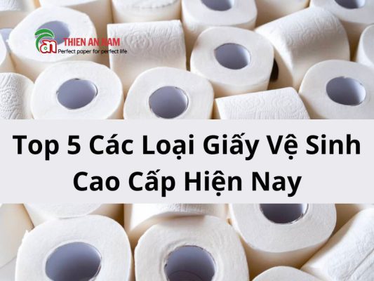 Top 5 Các Loại Giấy Vệ Sinh Cao Cấp Hiện Nay